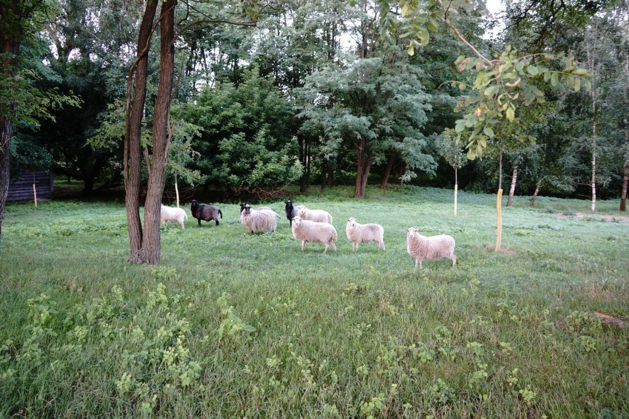 Ferien In Himmelpfort Exterior foto